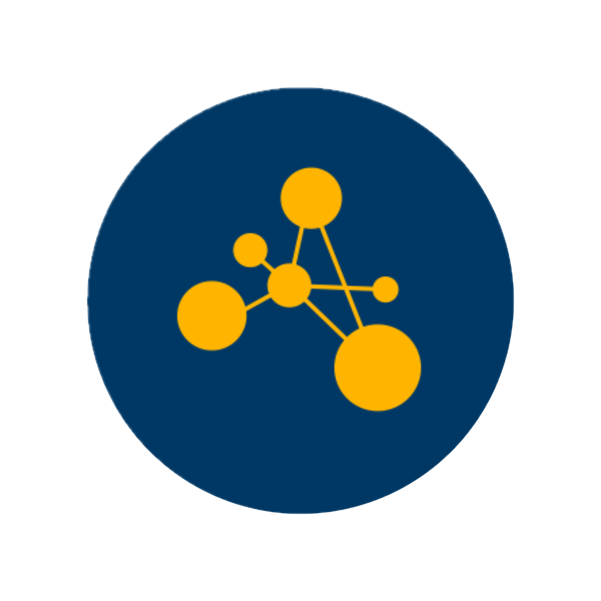 Dynamo - Dynamic Networks Analysis and Modeling